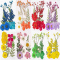 Dried Flowers, Resiners 80Pcs（Trending Colors） Pressed Flowers by ohsuni