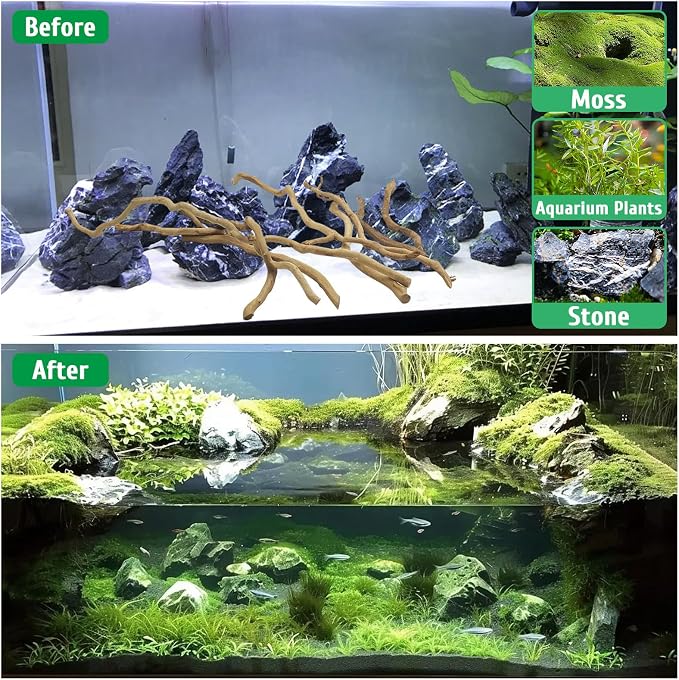 kathson Natural Driftwood for Aquarium - Image 5