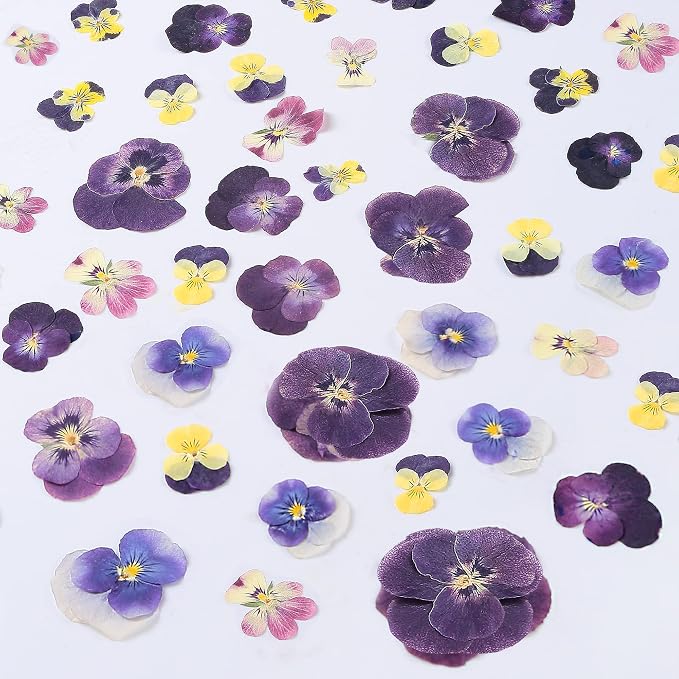 48 Pcs Mix Natural Dried Pressed Flowers by AHTONG