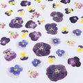 48 Pcs Mix Natural Dried Pressed Flowers by AHTONG