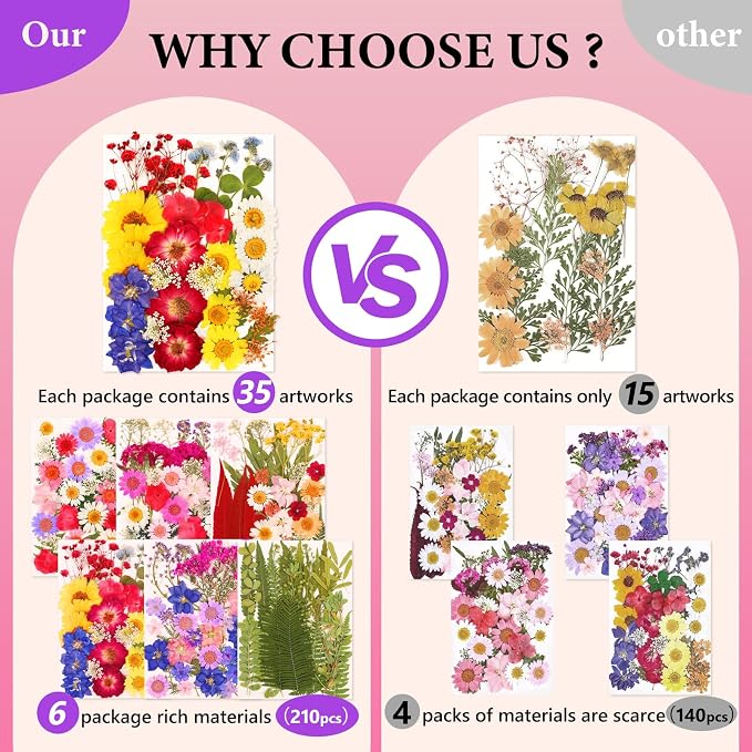 NESCCI 210 Pcs Dried Pressed Flowers - Image 3