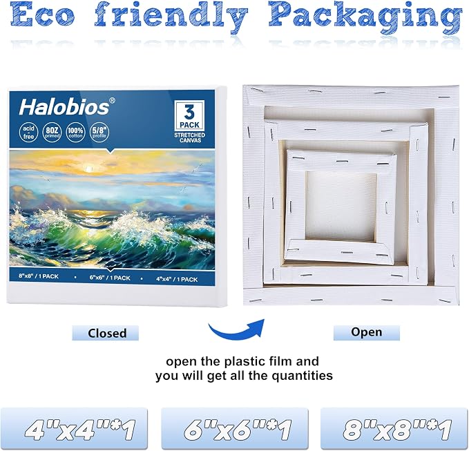 Halobios 3 Packs Stretched Canvases - Image 2