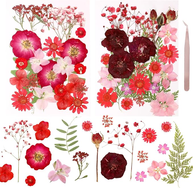 Dried Pressed Flowers Real Pressed Flowers Natural Dry Leaves Bulk Mixed by Gvhntk