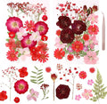 Dried Pressed Flowers Real Pressed Flowers Natural Dry Leaves Bulk Mixed by Gvhntk