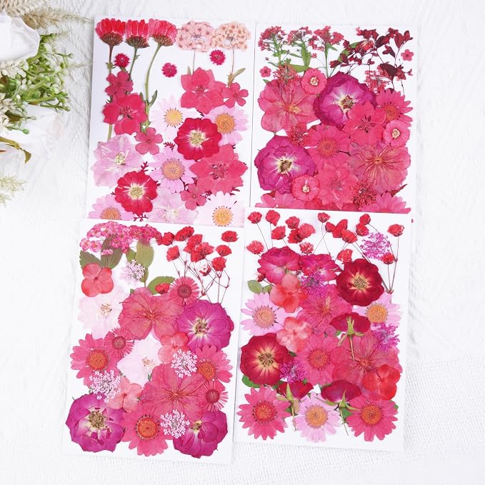 110Pcs Red Dried Pressed Flowers - Image 4