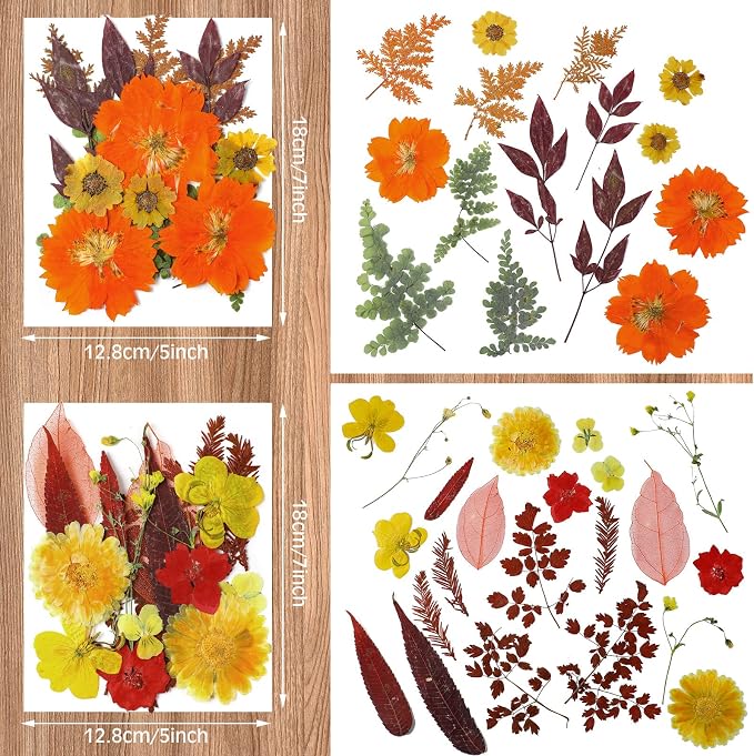 Nuanchu Fall Pressed Flowers Bulk Dried Flower - Image 4