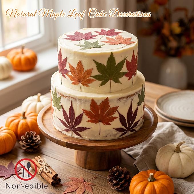48 Pcs Dried Pressed Fall Maple Leaf - Image 3