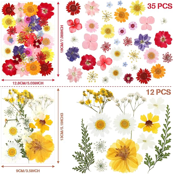Nuanchu Pressed Flowers Bulk Dried Flower - Image 4