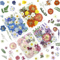 LUXEEASE 4-Color 100P Vibrant Dried Pressed Flowers | Vivid blue orange pink by LUXEEASE