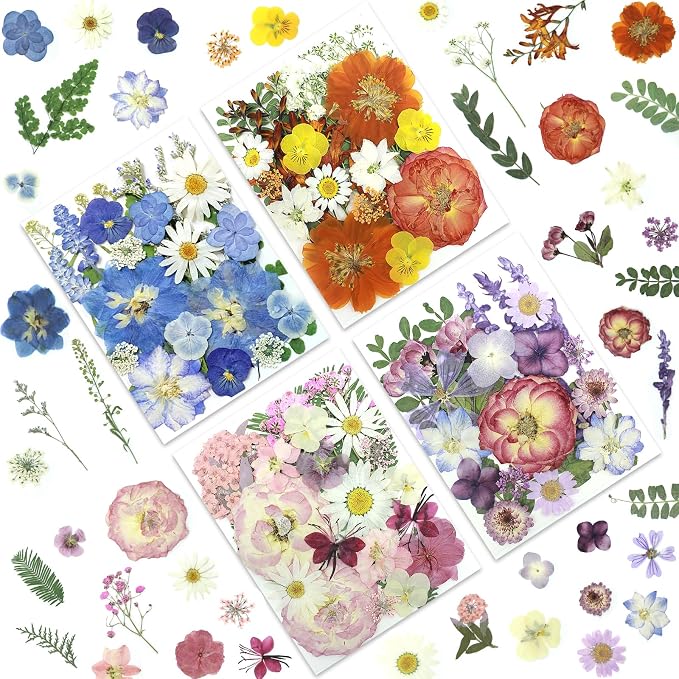 LUXEEASE 4-Color 100P Vibrant Dried Pressed Flowers | Vivid blue orange pink by LUXEEASE