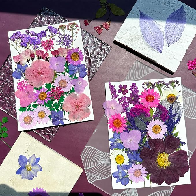 MIKIYA 54Pcs Purple Pressed Dried Flowers - Image 4