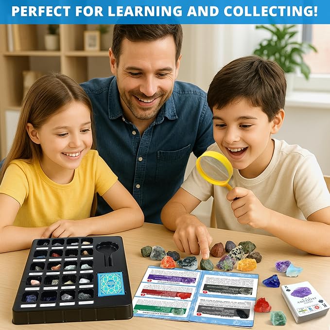 PIBEX Jumbo Rock Collection Kit - Image 4