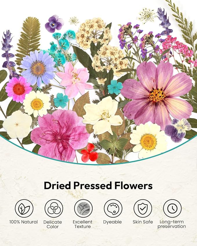 Dried Flowers, Resiners 100Pcs Pressed Flowers - Image 8