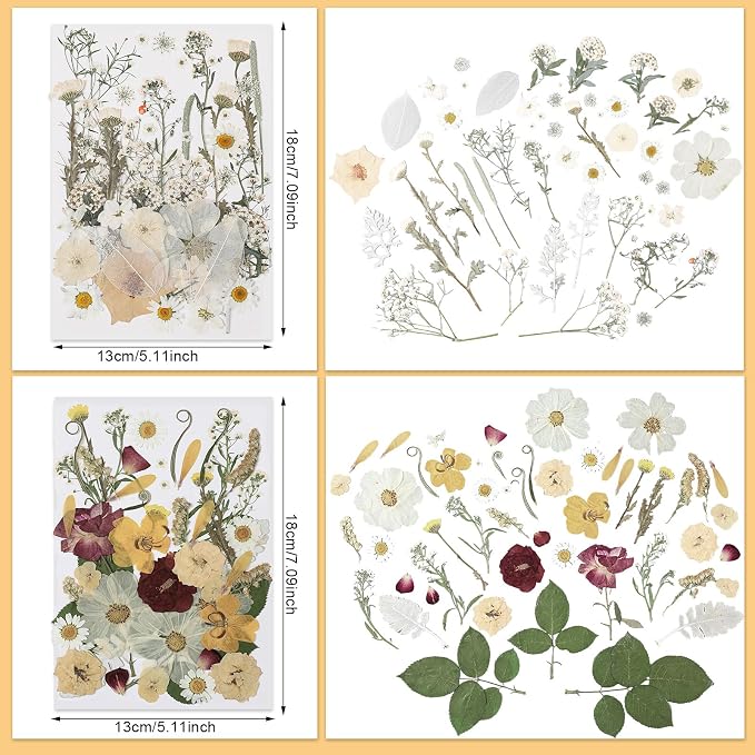 Nuanchu 200 Pcs Pressed Flowers Bulk Dried Flower - Image 3