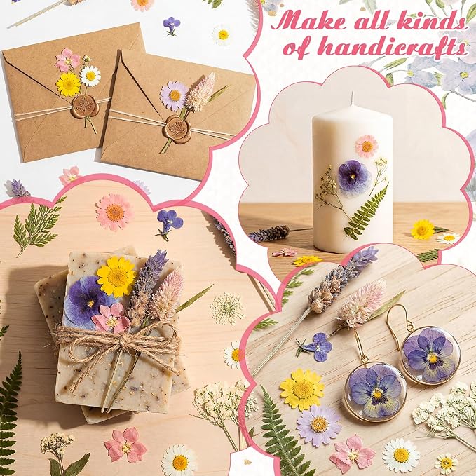 96 Pcs Natural Dried Pressed Flowers - Image 7