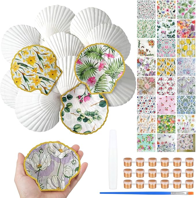 Halloscume 12 Set Scallop Shells by Halloscume