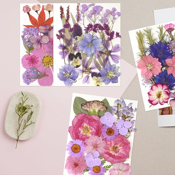 Dried Flowers for Resin | Vacuum Packed DIY Pressed Flowers for Epoxy, Nail - Image 2