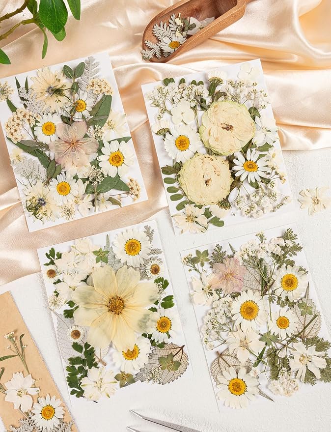 100pcs White and Light Yellow Dried Pressed Flowers Bulk, Natural Fall Pressed - Image 3