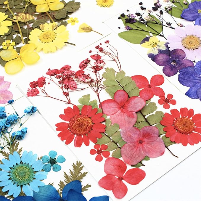 75 Pcs Red Dried Flowers Real Natural Pressed Leave Petals - Image 3