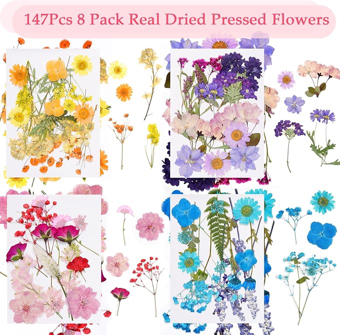 228Pcs Pressed Dried Flowers - Image 3