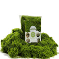 USMOLA 3.5OZ Fake Moss for Plants Indoor by USMOLA