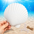 Cizavanta 15 Pack Large Scallop Shells by Unknown