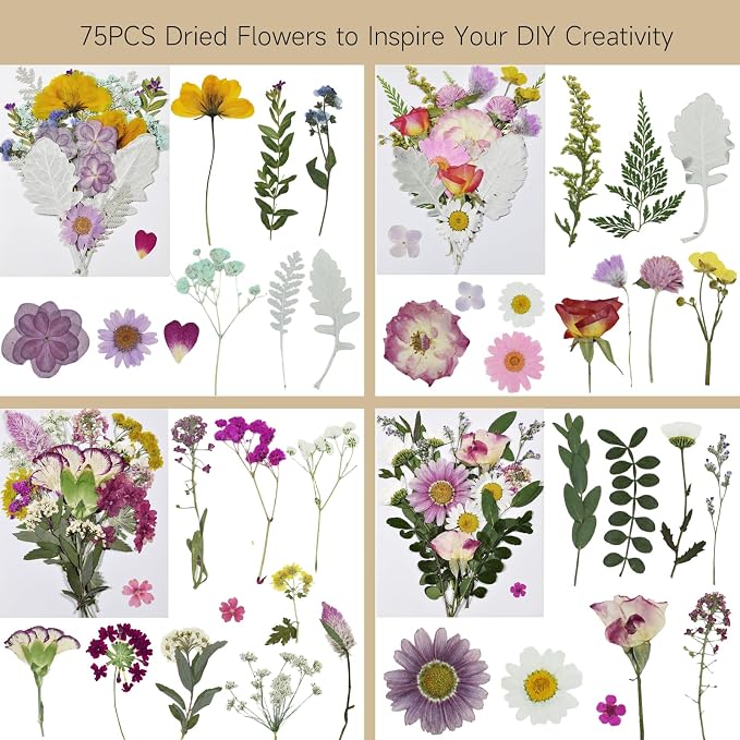 Dried Pressed Flowers Real Natural | Mixed Colors Flat Pressed Flowers - Image 2