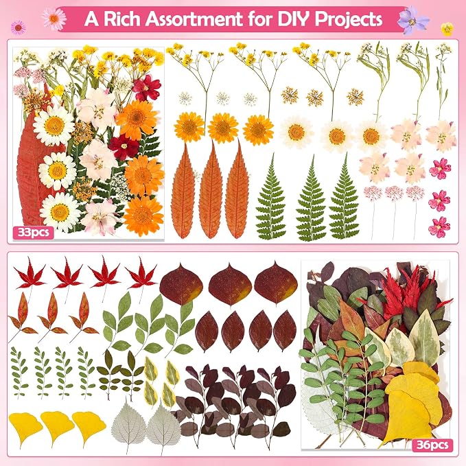 481 PCS Pressed Flowers for Crafts, Real Dried Pressed Flowers Nature Dry - Image 5