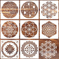 Sacred Geometry Stencil 8inch Reusable Stencils by zosylley