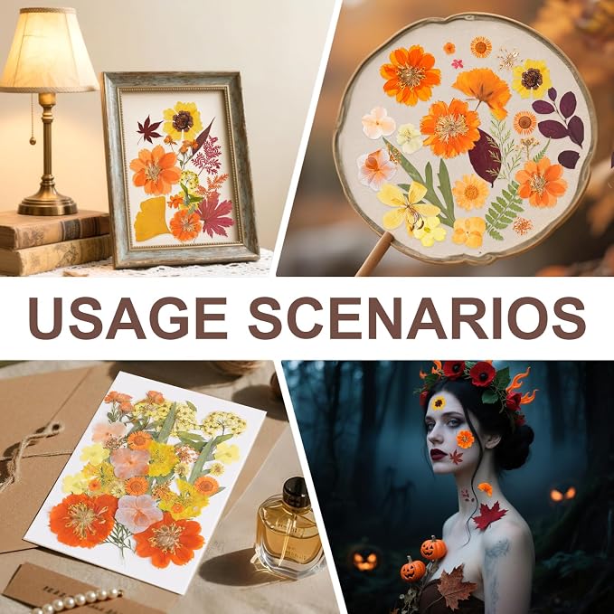 100 Pcs Fall Dried Pressed Flowers - Image 4