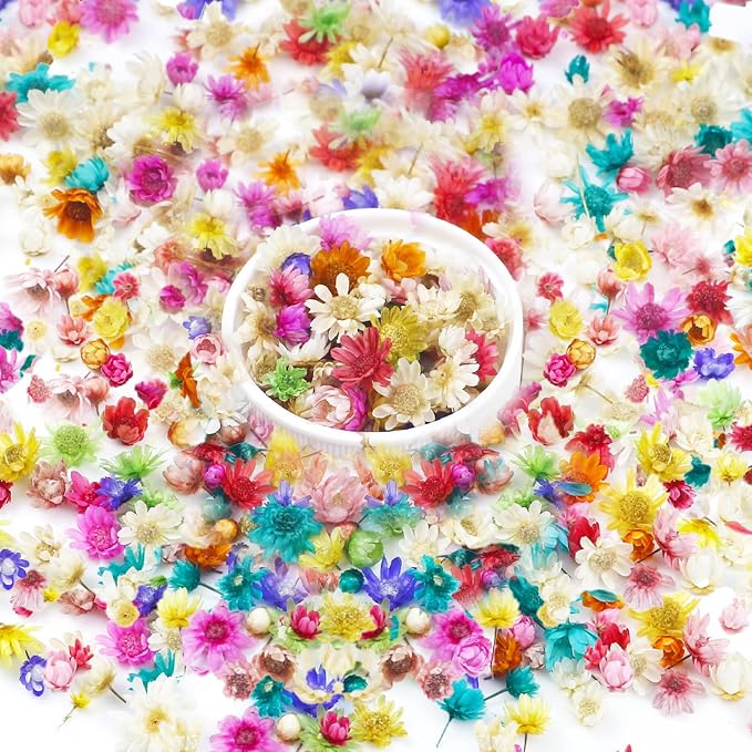 710 PCS Mini Dried Flowers for Resin, Small Dried Flowers for Crafts, by Unknown
