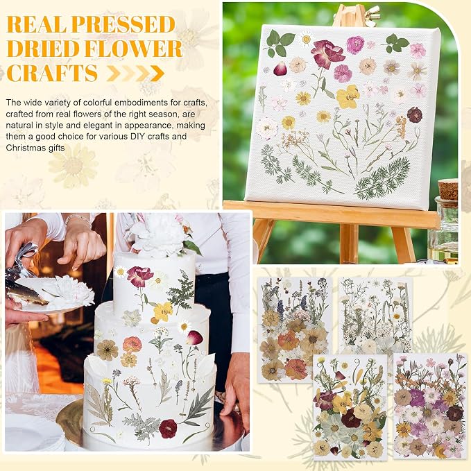 Nuanchu 200 Pcs Pressed Flowers Bulk Dried Flower - Image 6