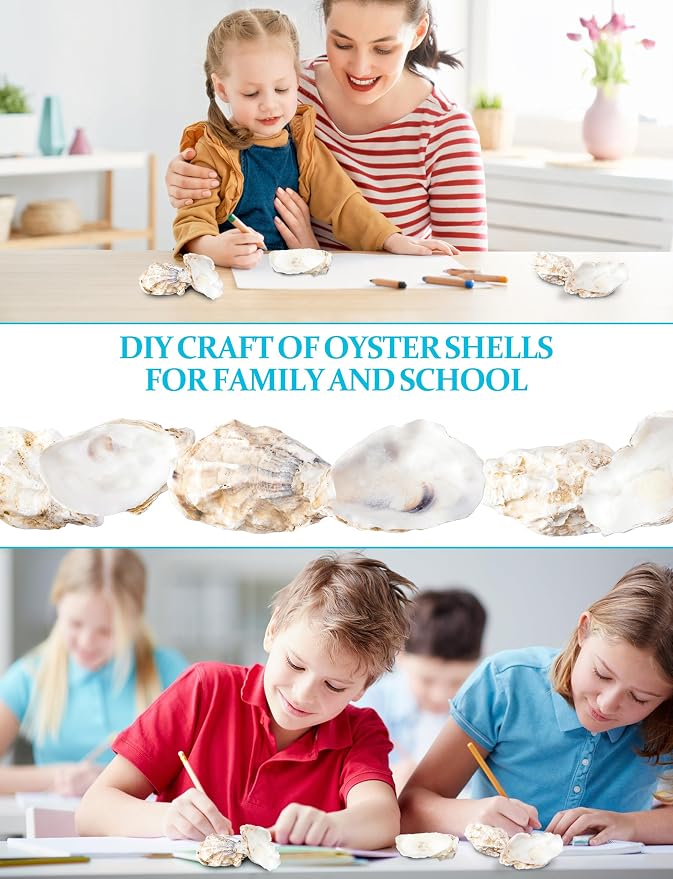 20Pcs Oyster Shells for Crafts， 3"-4" Large Oyster Shell for Crafts，Oyster - Image 2