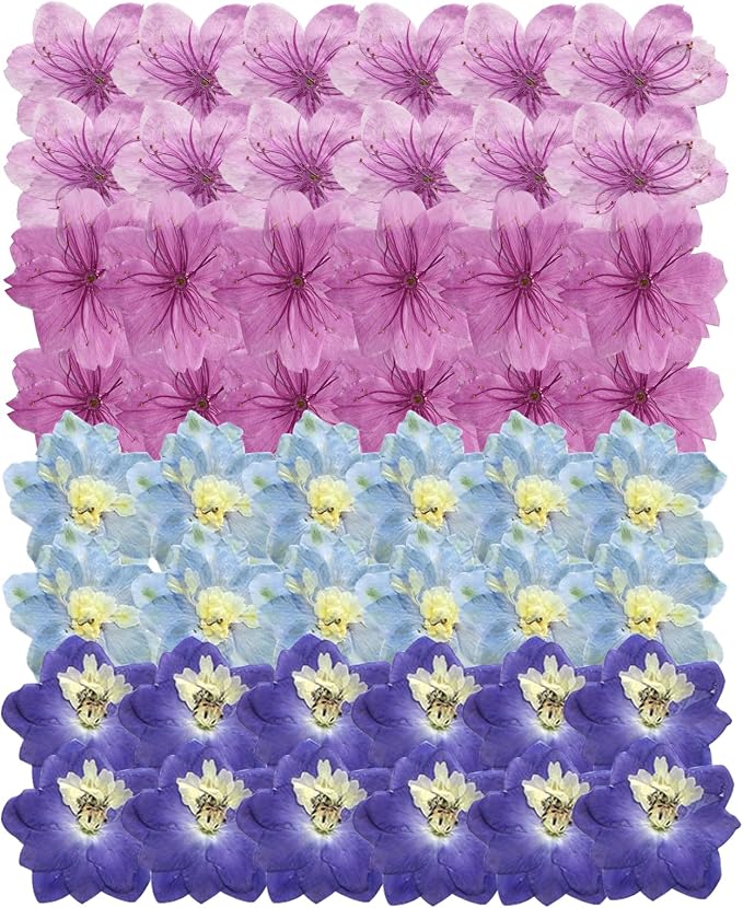 48 Pcs Dried Pressed Flowers for Resin DIY Art Crafts Natural Dry Sakura by TopFunny