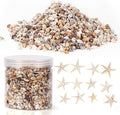 WEOXPR 2000 Pcs Tiny Sea Shells & Starfish by WEOXPR