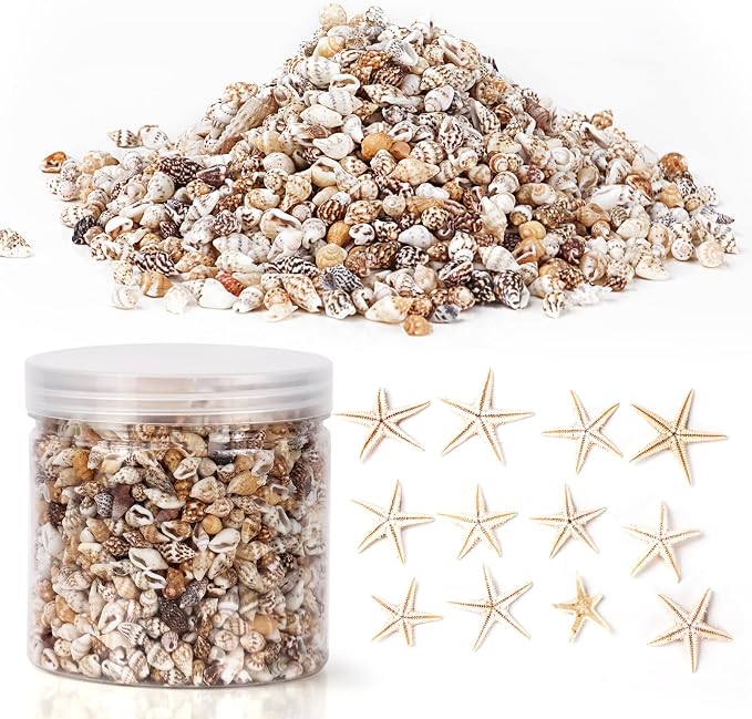 WEOXPR 2000 Pcs Tiny Sea Shells & Starfish by WEOXPR