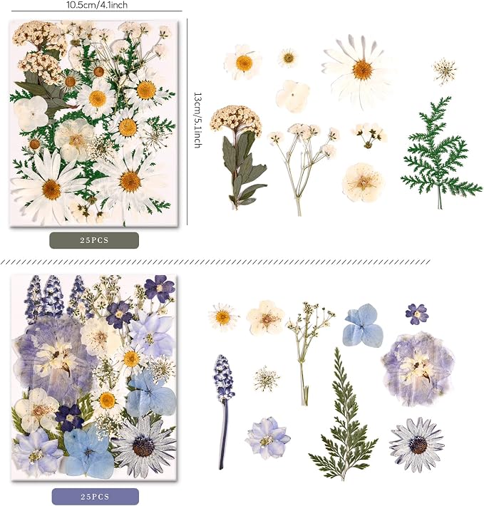 150PCS Pressed Dried Flowers Dry Leaves - Image 3