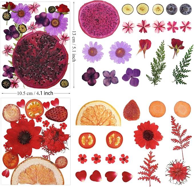 75Pcs Pressed Dried Flowers Fruits - Image 5