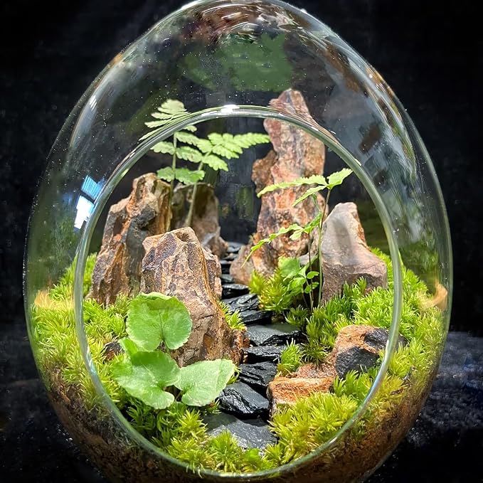 Natural Rocks Dragon Stone 1-2.5 Inches Decorative Rocks - Image 6