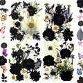132Pcs Black Pressed Dried Flowers and Butterfly by LUCISKY