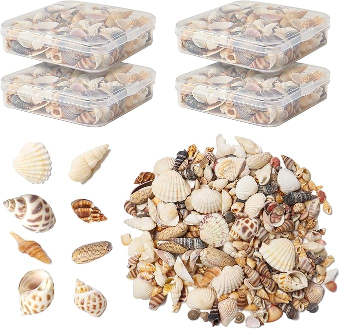 Seashells for Crafts Natural Mixed Seashells, 4 Pack Box, Small Shells for by Unknown