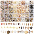 Zefy 23 Types Small Sea Shells for Crafts, Mini Shells for Vase Filler Beach by Zefy