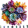 Bodhipnjoy 500 Pieces Puzzles for Adults, Succulent 5MM Thick Jigsaw Puzzle by BODHIPNJOY