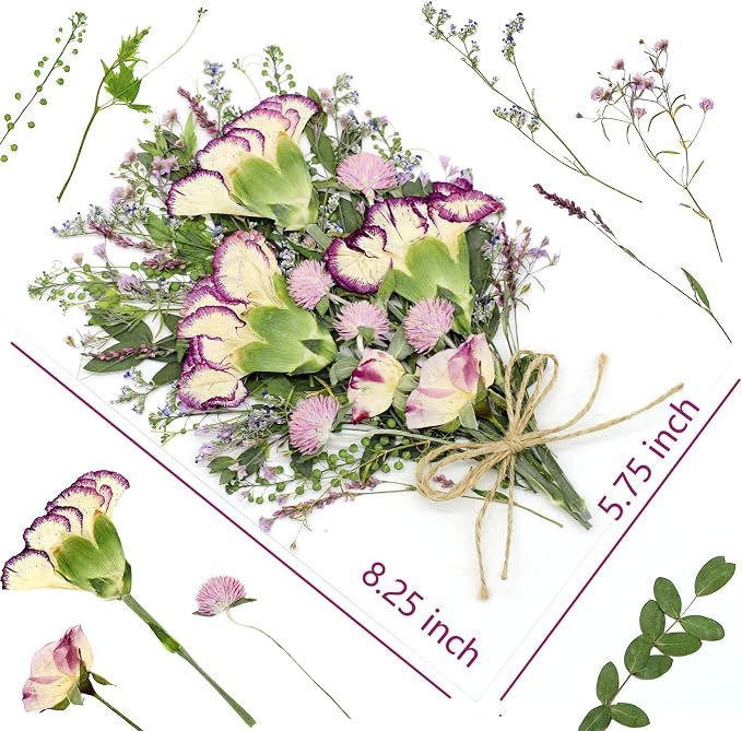 10+ Types Dried Pressed Flowers - Image 2