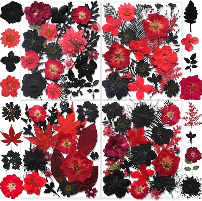 141PCS Black Red Dried Pressed Flowers by YouthBro