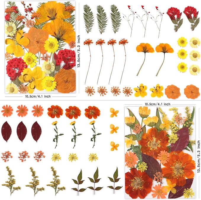 LUXEEASE 120P Yellow Orange Red Dried Pressed Flowers | Warm cozy gradient - Image 2