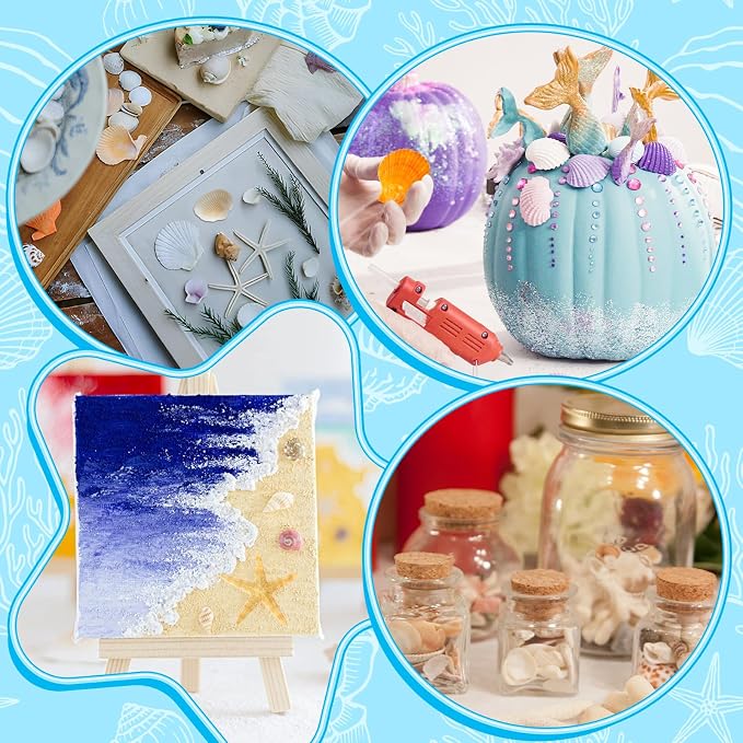WEOXPR Mixed Seashells & Starfish Decor - Image 6