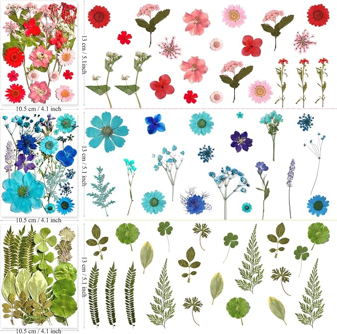 MIKIYA 182Pcs Dried Pressed Flowers - Image 7