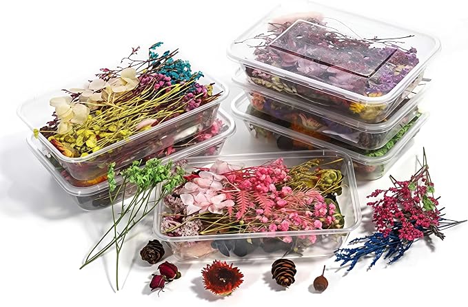 Dried Flower 2 Box DIY Natural Dried Flowers by Unknown