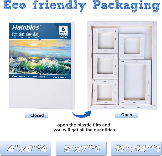 Halobios 6 Packs Stretched Canvases - Image 2